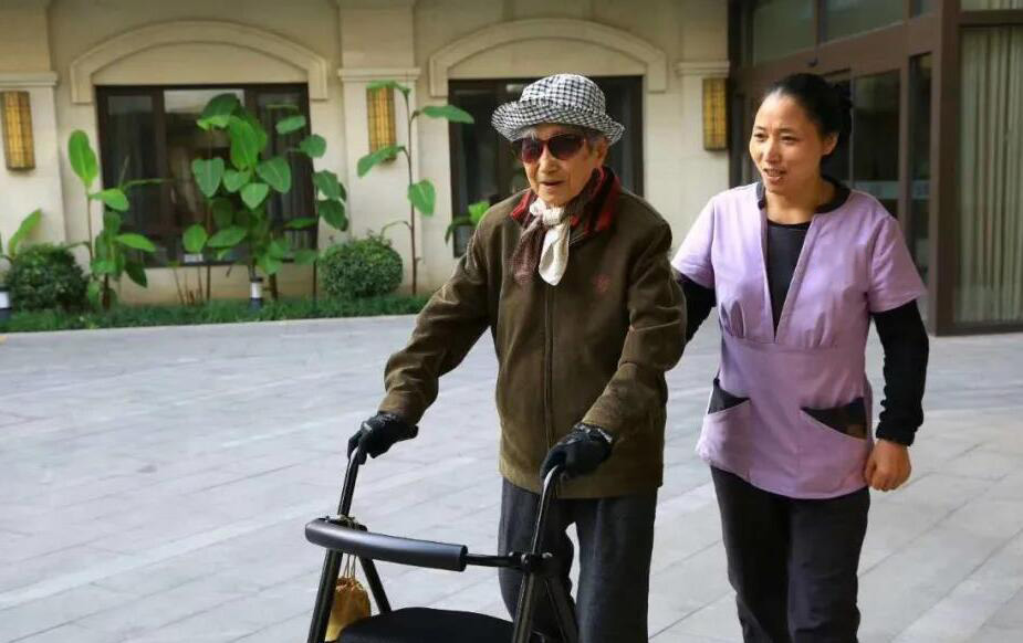 像是一株仙人掌——杨恺老人传记